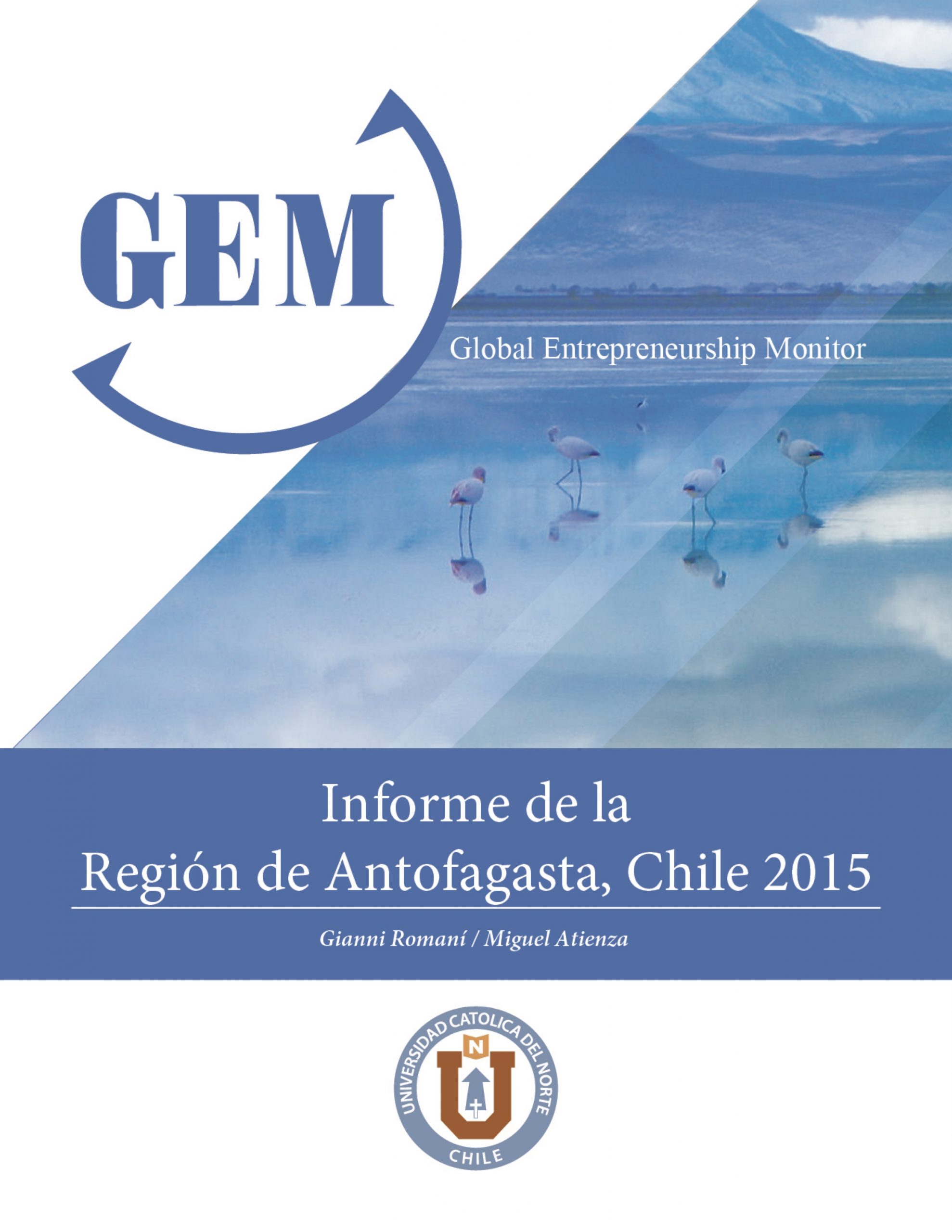 GEM Regional 2015